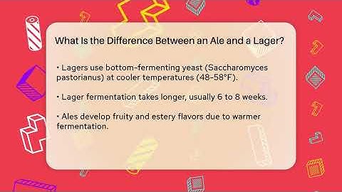 What Is the Difference Between an Ale and a Lager? | The Pint Guy