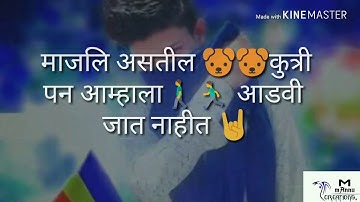 JAY BHIM ATTITUDE DIALOGUE !!👌 STATUS #viral #jaybhim #trending #drbabasahebambedkar 💙