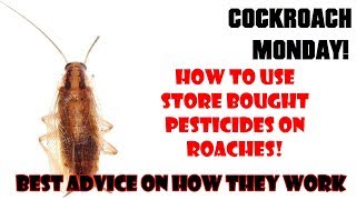 HOW TO ELIMINATE ROACHES YOURSELF - Pesticide help and DIY advice