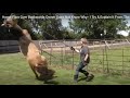 Horse Flips Over Backwards Owner Does Not Know Why - I Try & Explain It From The Horse's Perspective