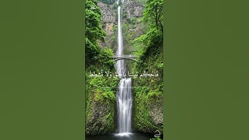 خَصْمَانِ بَغَىٰ بَعْضُنَا عَلَىٰ بَعْضٍ | محمـد صديق المنشاوي | سورة ص