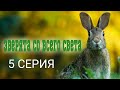 Зверята со всего света 5 серия | Документальный фильм про животных