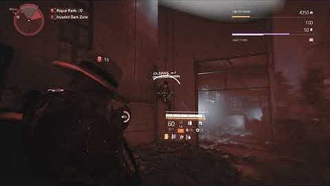 Division 2 - Ladder glitch and became invisible