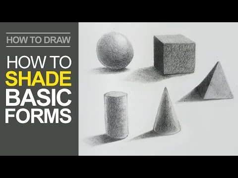 Video: Basic Forms