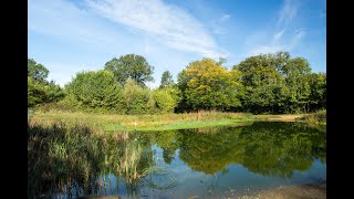 Barn Hill Open Space