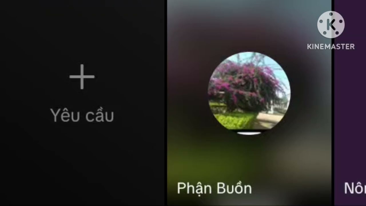 Đinh Nghĩa & Phận Buồn hát kết hay 
