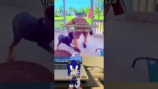 the difference between these two clips πππ
the difference between these two clips πππ the difference between these two clips πππ