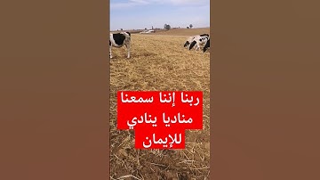 ربنا إننا سمعنا مناديا ينادي للإيمان... القارئ ماهر المعيقلي