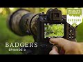 THIS IS WHY I DO WILDLIFE PHOTOGRAPHY - Badgers Ep3 | woodland photography, camouflage, nikon z6