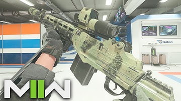 EBR-14 " Raid Whisperer" Marksman Rifle (Call of Duty: Modern Warfare 2)