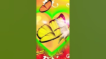 P name status video #ravindra_ranjan #name_status_video #whatsappstatus2023 #loveshayri