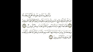 سورة النمل 4 القسم الرابع تكرار كيفي من ..  وأدخل يدك في جيبك تخرج بيضاء .. إلى .. المفسدين
