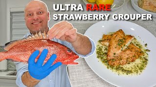 The Most Beautiful Fish Ive Ever Cooked - Rare Strawberry Grouper
