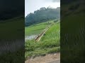 NATURE OF ASSAM