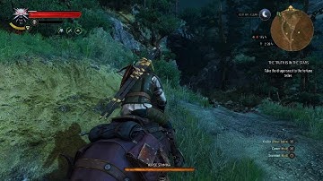 The Witcher 3: Wild Hunt - Complete Edition: Funny Roach Glitch/Bug!