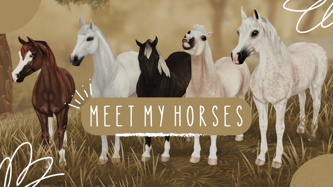 MEET MY HORSES SSO REALISTIC ROLEPLAY YouTube