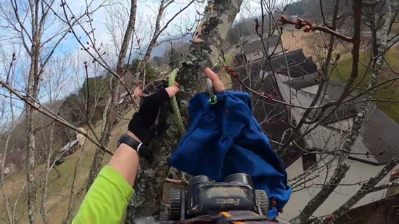 Willow - Gurley AL - Jan2026