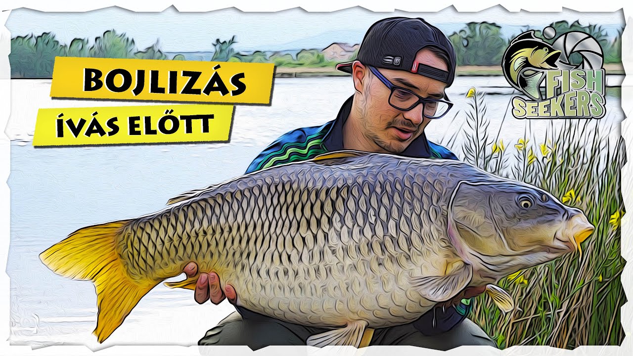 BOJLIZÁS ÍVÁS előtt - S2 tavak - 8. faház