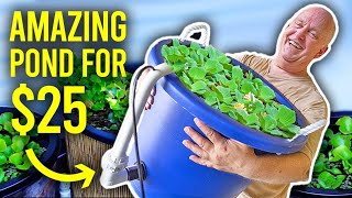 BEST Mini Indoor Pond For Breeding TONS of Fish