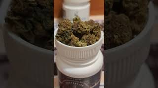Antg EVE High CBD flower