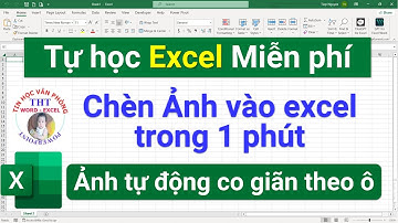 Học excel | Chèn Ảnh excel tự động CO GIÃN theo ô excel chỉ trong 1 phút