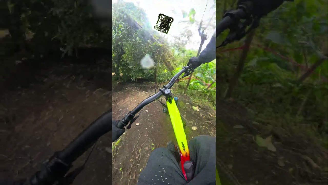 Papi's Trail Shorts Sept 28 2025 