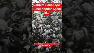 RABBİM ÖYLE BİR KAPI AÇSIN Kİ#fyp#cennet#doa#hayalhanem#allah#yetim#hzmuhammed#shorts#aşk#keşfet#dua
