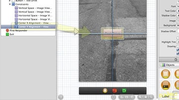 For Dummies: iOS Application Development 1 - 15. Laying Out Your View
