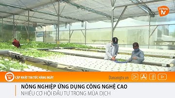 NÔNG NGHIỆP ỨNG DỤNG CÔNG NGHỆ CAO NHIỀU CƠ HỘI ĐẦU TƯ TRONG MÙA DỊCH