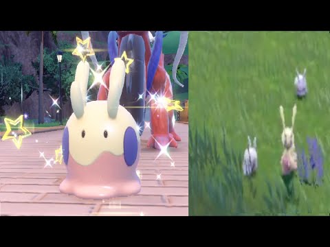 That special Kind of Shiny Goomy luck! (called it twice!) Pokemon Scarlet Full odds shinies!