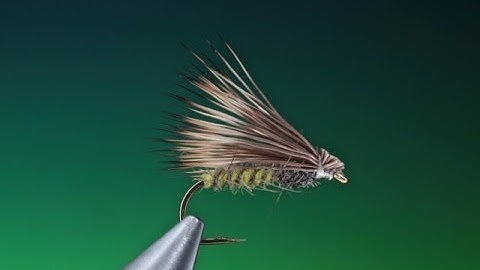 Tying a Super pupa variant with Barry Ord Clarke