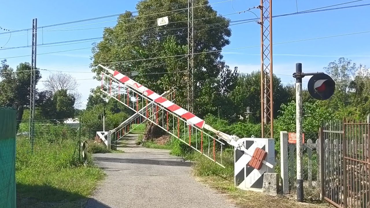 SI ABBASSA IL PL di SANGIANO... E ARRIVA VELOCISSIMO un BEL BESTIONE!!! 