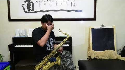 Thumbnail of 薩克斯風演奏 月朦朧鳥朦朧