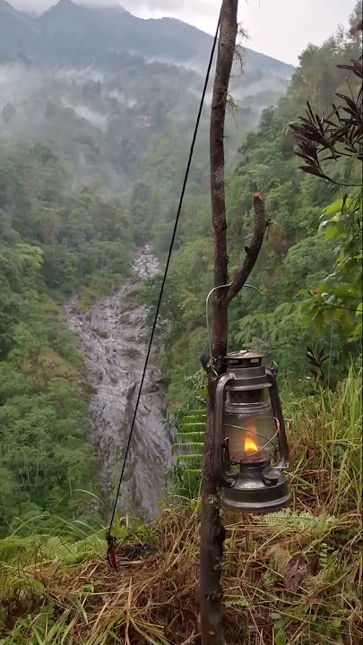 Camping di hutan pinus lereng Gunung Agung Lebih Bali - sangat syahdu