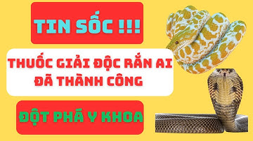 Tin Cực Vui! Thuốc Giải Độc Rắn AI Đã Thành Công: Bước Đột Phá Thay Đổi Cuộc Sống Hàng Triệu Người!