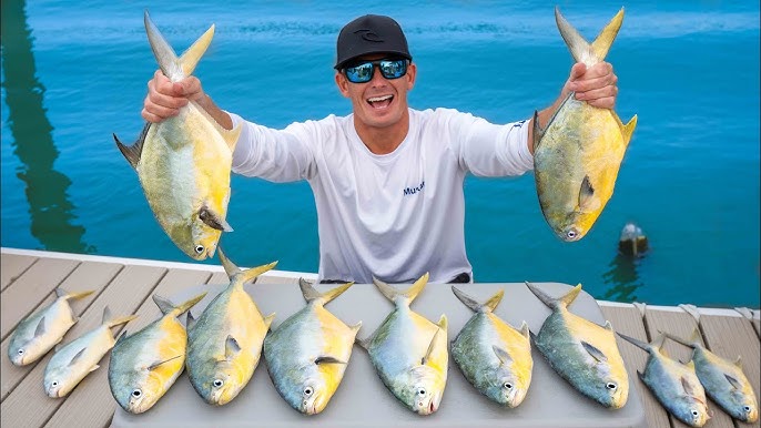 Florida's MOST Expensive Fish! Catch Clean Cook- Florida Pompano 