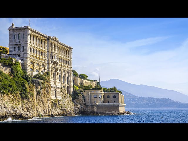 Explore the changing face of museums with Professor Marie Conte-Helm