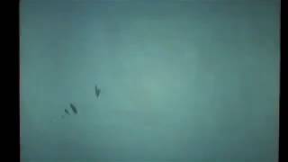 lukisan pasir paling menyentuh hati