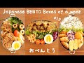 Husband lunch boxes of a week #19 🍳 #teriyakipork #grilledchicken | Japanese Bento