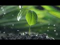 No Cities, No Borders | Emotions instrumental theme 4K Video