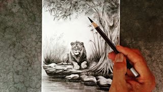 How to draw a lion with step by step / animal drawing /