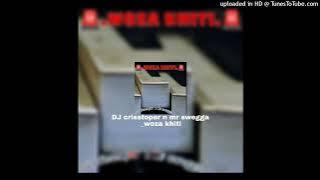 Woza khiti part 2 DJ crisstoper n mr swegga ft ayakesto (ayabonga) ft shaun za(official audio)