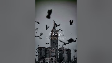 سورة الحج {الآية 32} بصوت الشيخ ياسر الدوسري ❤️❤️