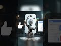 Stop Doing This Manually… AI Will Do It For You
