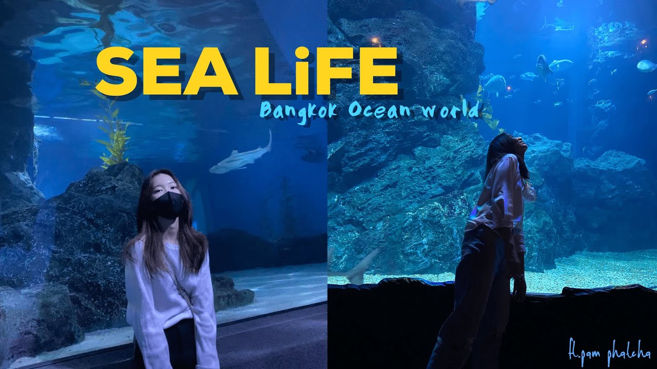 [Story #3] SEA LiFE Bangkok Ocean World First time! 🦈