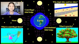 Why are There High Tides and Low Tides? | What Causes the Tides | Educational Video for Kids
