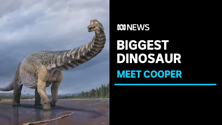 One of the largest dinosaurs in the world has been found on an outback cattle property | ABC News - DayDayNews