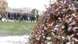Всероссийская акция "Животные не одежда" 2014 Санкт-Петербург Всероссийская акция "Животные не одежда" 2014 Санкт-Петербург