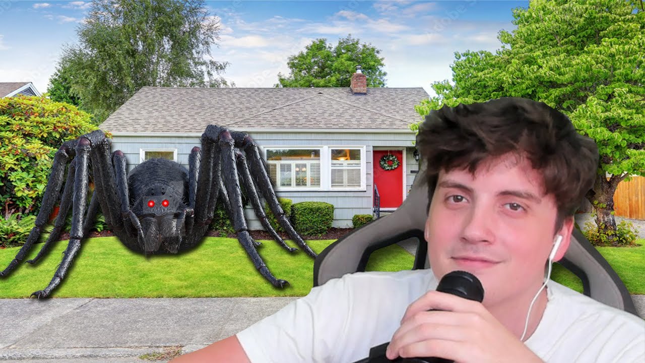 encontré una araña gigante