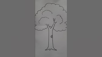 How to draw a tree #youtubeshorts #drawing #art #viralvideo #easydrawing